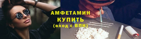 винт Алзамай