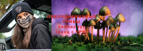 винт Алзамай