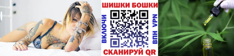 Конопля гибрид  Чаплыгин 